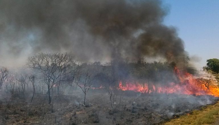 Uma imagem impressionante