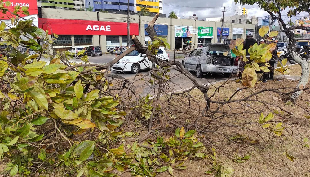 Uma imagem impressionante